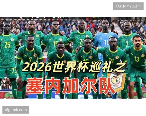 塞内加尔队2026世界杯晋级前景解析