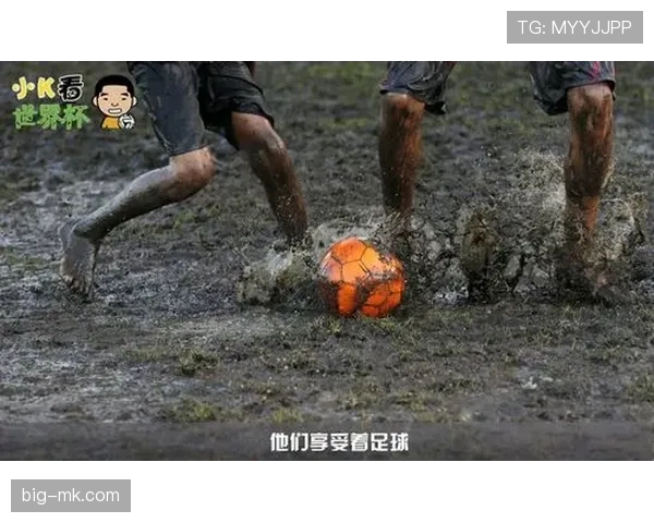 世界杯K组冠军潜力分析 世界杯K组冠军潜力分析